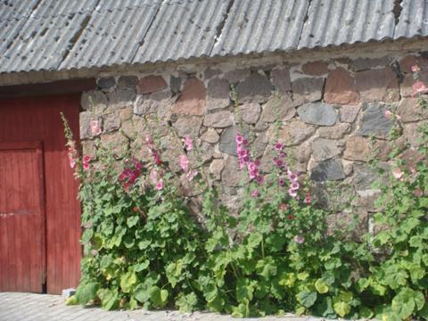 Lyngvej 16 B&B Скандерборг Екстериор снимка